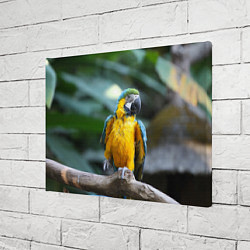 Холст прямоугольный Красавец попугай, цвет: 3D-принт — фото 2