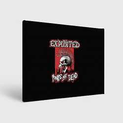 Картина прямоугольная Exploited - punks not dead