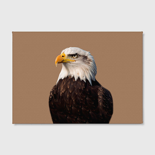Картина прямоугольная Белоголовый орлан птица / 3D-принт – фото 2