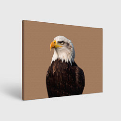 Холст прямоугольный Белоголовый орлан птица, цвет: 3D-принт