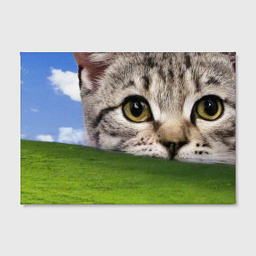 Картина прямоугольная Кот и безмятежность в Windows XP / 3D-принт – фото 2