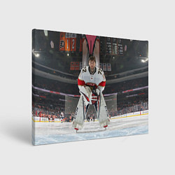 Картина прямоугольная Sergey Bobrovsky - Florida panthers - hockey
