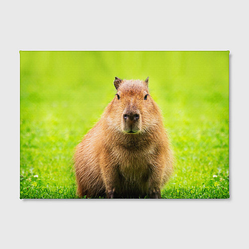 Картина прямоугольная Capybara on green grass / 3D-принт – фото 2