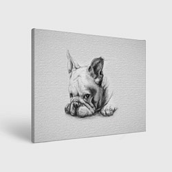Холст прямоугольный Французский бульдог чб рисунок на стене, цвет: 3D-принт
