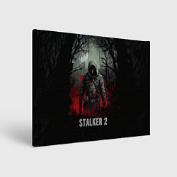 Холст прямоугольный Stalker 2 dark mode, цвет: 3D-принт