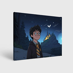 Холст прямоугольный Довольный Гарри Поттер, цвет: 3D-принт