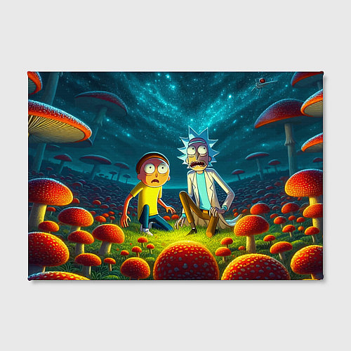 Картина прямоугольная Rick and Morty on the fly agaric planet / 3D-принт – фото 2