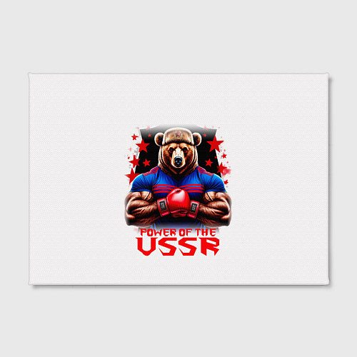 Картина прямоугольная USSR медведь / 3D-принт – фото 2