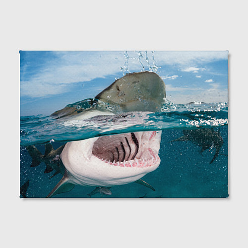Картина прямоугольная Хищная акула / 3D-принт – фото 2