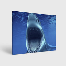 Холст прямоугольный Белая акула, цвет: 3D-принт