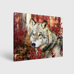 Холст прямоугольный Волк в кустах, цвет: 3D-принт