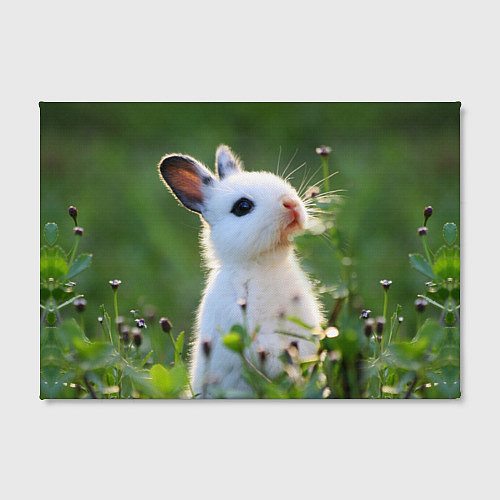 Картина прямоугольная Кролик малыш на лужайке / 3D-принт – фото 2