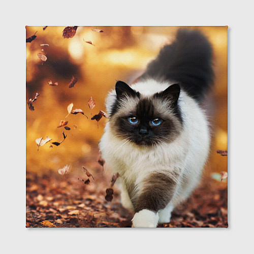 Картина квадратная Котик в листьях / 3D-принт – фото 2