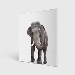 Холст квадратный Большой слон, цвет: 3D-принт