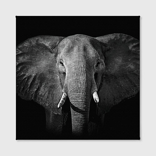 Картина квадратная Взгляд слона / 3D-принт – фото 2