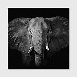 Холст квадратный Взгляд слона, цвет: 3D-принт — фото 2