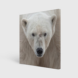 Холст квадратный Белый медведь, цвет: 3D-принт