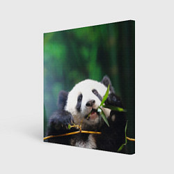 Холст квадратный Панда на ветке, цвет: 3D-принт