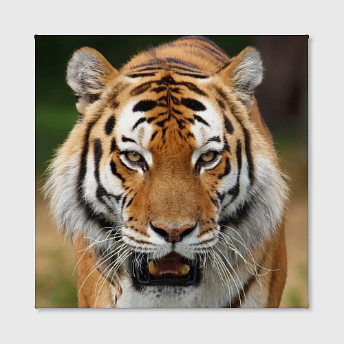 Картина квадратная Рык тигра / 3D-принт – фото 2