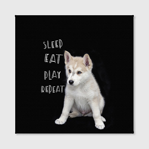 Картина квадратная Sleep Eat Play Repeat Хаски щенок / 3D-принт – фото 2
