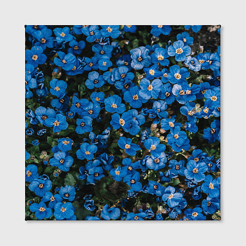 Картина квадратная Поле синих цветов фиалки лето / 3D-принт – фото 2