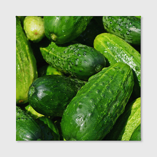 Картина квадратная Огурцы / 3D-принт – фото 2