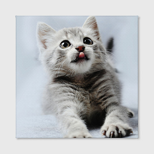 Картина квадратная Серый котенок / 3D-принт – фото 2