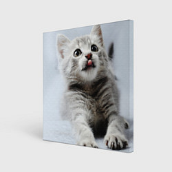 Холст квадратный Серый котенок, цвет: 3D-принт