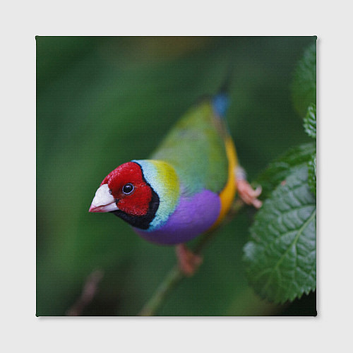 Картина квадратная Яркая птичка попугай / 3D-принт – фото 2