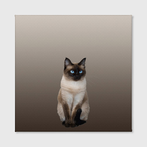 Картина квадратная Сиамский кот голубые глаза за 1590 ₽ купить в магазине ПлейПринт (10285599505506)