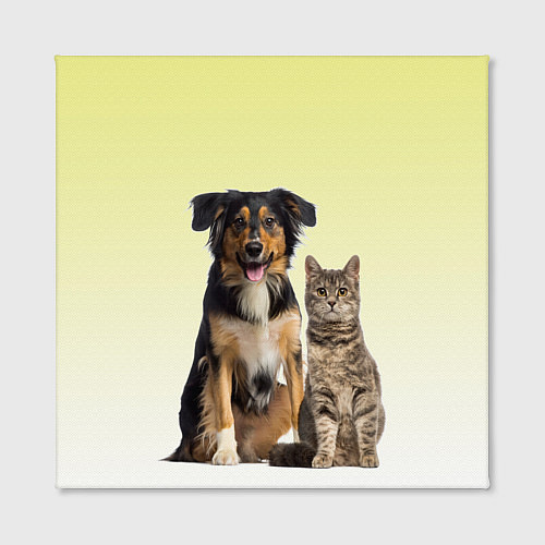 Картина квадратная Кошка и собака друзья / 3D-принт – фото 2
