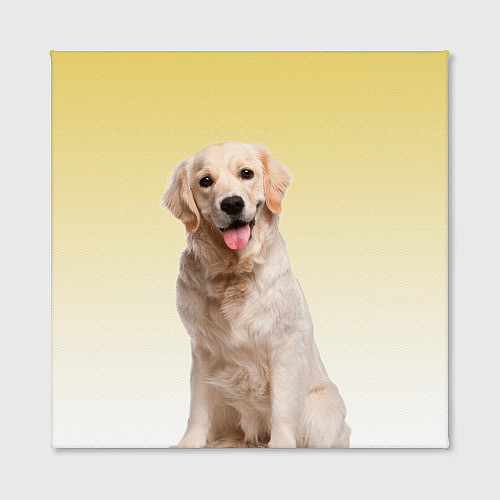 Картина квадратная Лабрадор ретривер пес / 3D-принт – фото 2