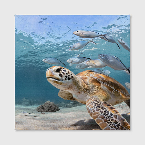 Картина квадратная Морская черепаха / 3D-принт – фото 2