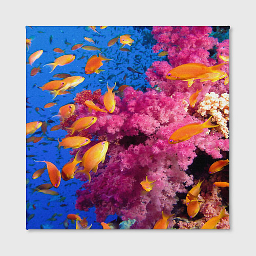 Картина квадратная Коралловые рыбки / 3D-принт – фото 2