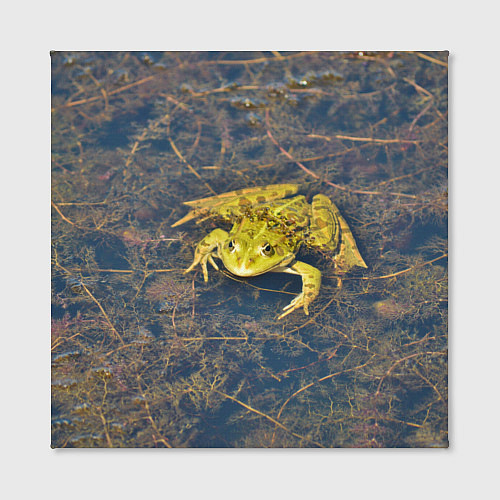 Картина квадратная Лягушка / 3D-принт – фото 2