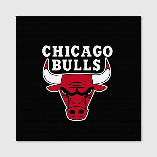 Картина квадратная B C Chicago Bulls / 3D-принт – фото 2