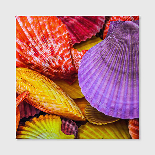 Картина квадратная Разноцветные ракушки multicolored seashells / 3D-принт – фото 2