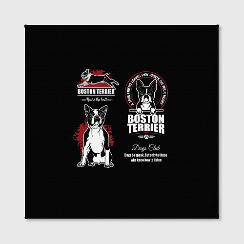 Картина квадратная Бостон-Терьер Boston Terrier / 3D-принт – фото 2