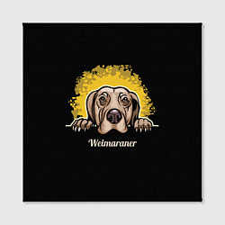 Холст квадратный Веймаранер Weimaraner, цвет: 3D-принт — фото 2