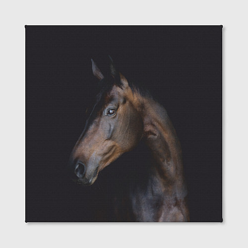 Картина квадратная Лошадь Благородство / 3D-принт – фото 2
