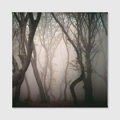 Картина квадратная Лес Туман / 3D-принт – фото 2