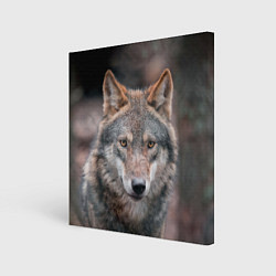 Холст квадратный Волк с грустными глазами, цвет: 3D-принт