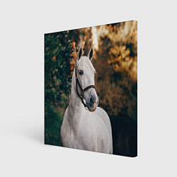 Картина квадратная Белая лошадка