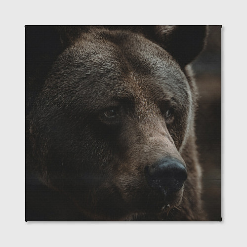 Картина квадратная Медведь / 3D-принт – фото 2