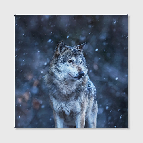 Картина квадратная Лесной волк / 3D-принт – фото 2
