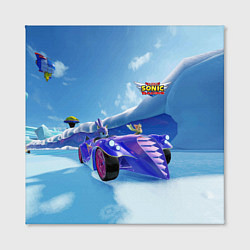 Холст квадратный Blaze the Cat - Team Sonic racing, цвет: 3D-принт — фото 2
