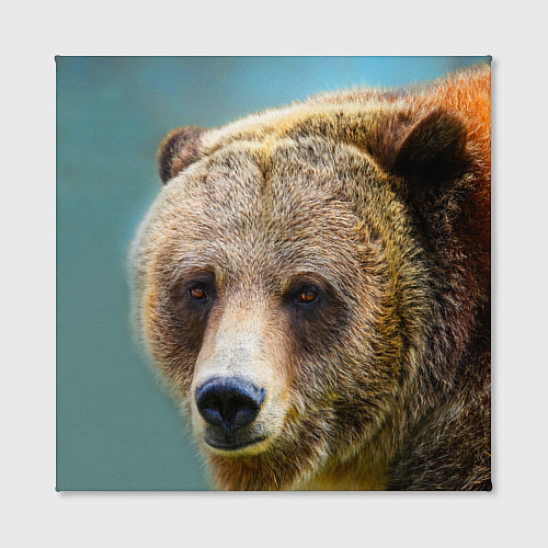 Картина квадратная Русский бурый медведь / 3D-принт – фото 2