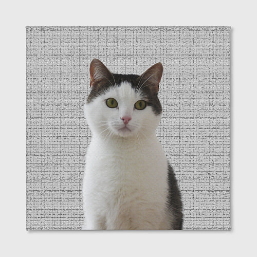 Картина квадратная Задумчивый котик / 3D-принт – фото 2