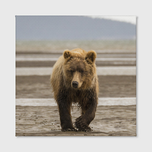 Картина квадратная Медвежонок в аэропорту / 3D-принт – фото 2