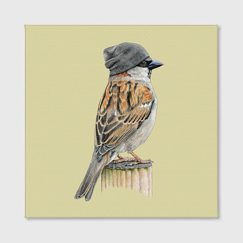 Картина квадратная Домовый воробей в шапке бини / 3D-принт – фото 2